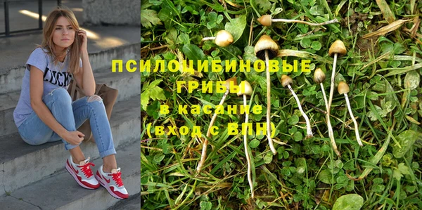 СК Бородино