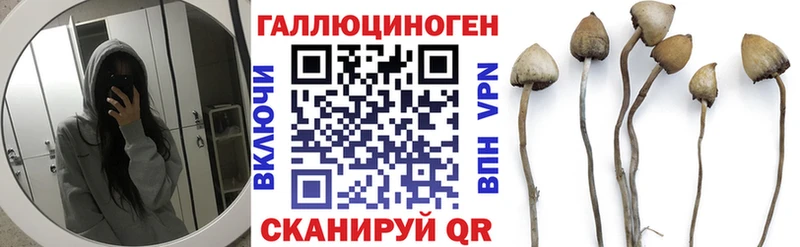 Галлюциногенные грибы GOLDEN TEACHER  Щёлково 